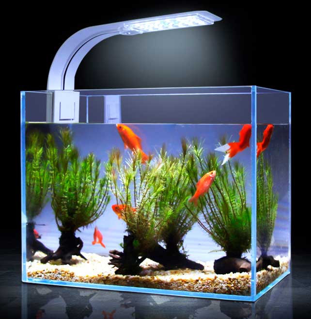 светодиодная лампа установленная на аквариуме