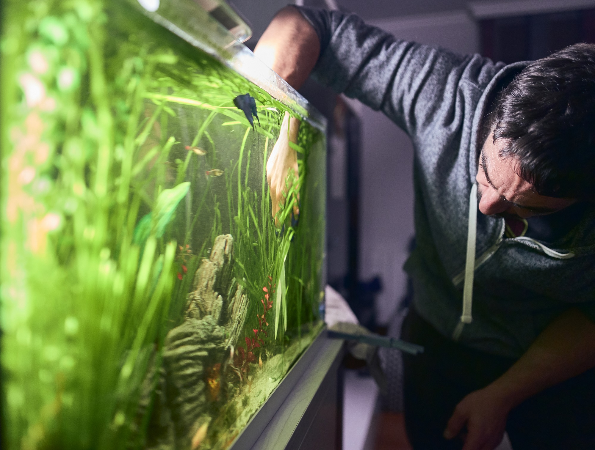 Установка фильтров в аквариумы в Москве — 13 аквариумистов, 4 отзыва на Профи