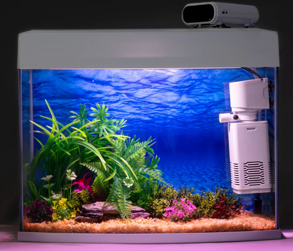 Почему не работает фильтр для воды в аквариуме?