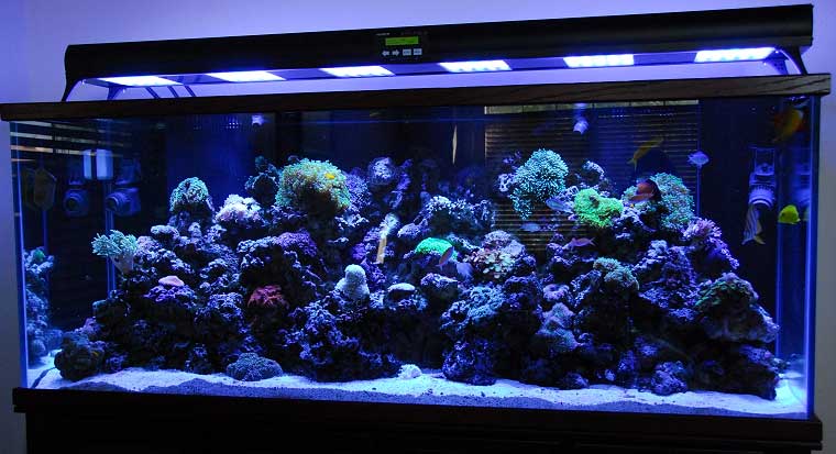 светодиодная подсветка для аквариума