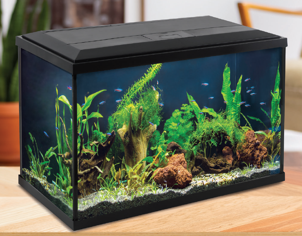Изготовление аквариумов под ключ от «AquaWorks»