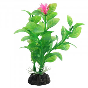 Растение "Незея цветущая", зеленое/розовое, 100мм