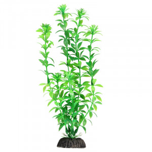 Растение 1048LD "Гемиантус" зеленый, 200мм, (пакет)
