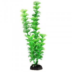 Растение "Амбулия", зеленое, 300мм