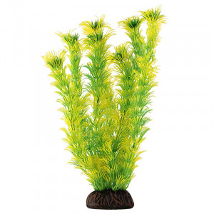 Растение "Амбулия", жёлто-зеленое, 100мм