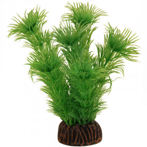 Растение "Амбулия", зеленое, 100мм