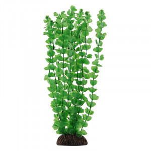 Растение "Бакопа", зеленое, 200мм