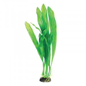 Растение "Эхинодорус", зеленое, 200мм