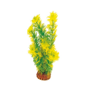 Растение "Амбулия", жёлто-зеленое, 200мм