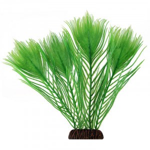 Растение "Эгерия", зеленое, 250мм