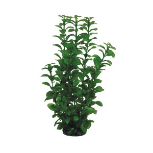 Растение "Людвигия", зеленое, 300мм