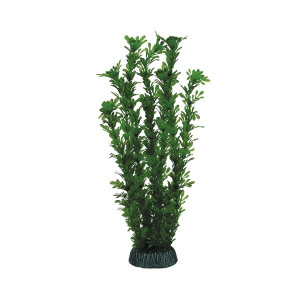 Растение "Лигодиум", зеленое, 300мм
