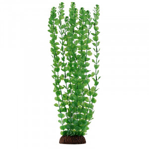 Растение "Бакопа", зеленое, 400мм