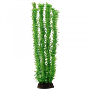 Растение "Амбулия", зеленое, 400мм