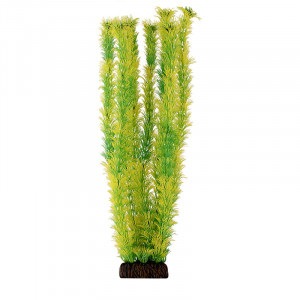 Растение 4686 "Амбулия" жёлто-зеленая, 400мм, (пакет)