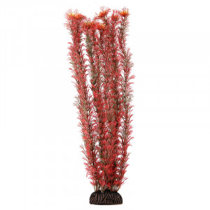 Растение "Амбулия", красное, 400мм