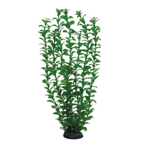 Растение "Людвигия", зеленое, 400мм
