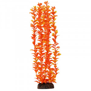 Растение 4691 "Людвигия" оранжевая, 400мм, (пакет)