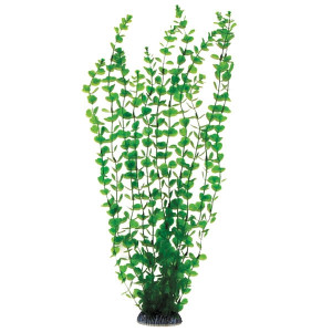 Растение "Бакопа", зеленое, 500мм