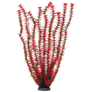 Растение "Амбулия", красное, 500мм
