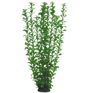 Растение "Людвигия", зеленое, 500мм