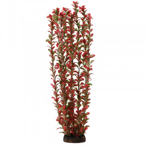 Растение "Людвигия", красное, 500мм