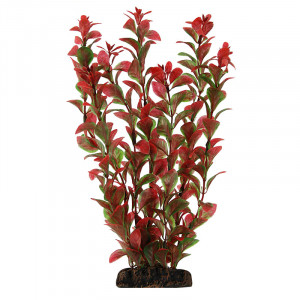 Растение "Людвигия", красное, 200мм