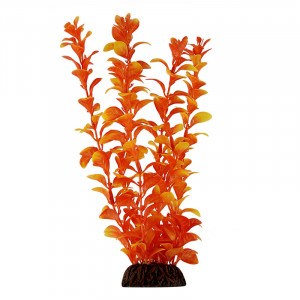 Растение 5578 "Людвигия" оранжевая, 550мм, (пакет)