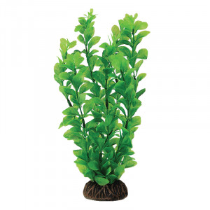 Растение "Людвигия", зеленое, 100мм