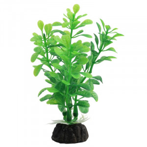 Растение "Альтернантера", зеленое, 100мм