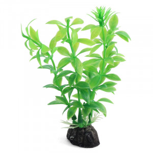 Растение 1047LD "Гемиантус" зеленый, 100мм, (пакет)