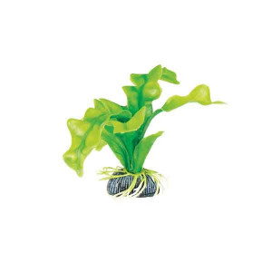Растение "Апоногетон", зеленое, 100мм