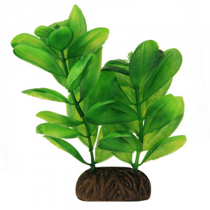 Растение "Самолюс", зеленое, 100мм