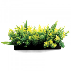 Растение "Композиция" S, желтое/зеленое, 50мм