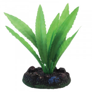 Растение шелковое "Апоногетон", светло-зеленое, 130мм