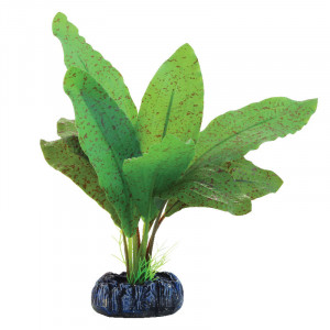 Растение шелковое "Эхинодорус крапчатый", 70мм, (пакет)
