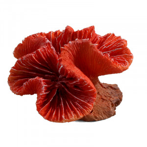 Коралл искусственный "Каталофиллия", S, красный, 70*65*40мм