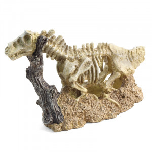 Грот "Скелет динозавра", 235*85*145мм