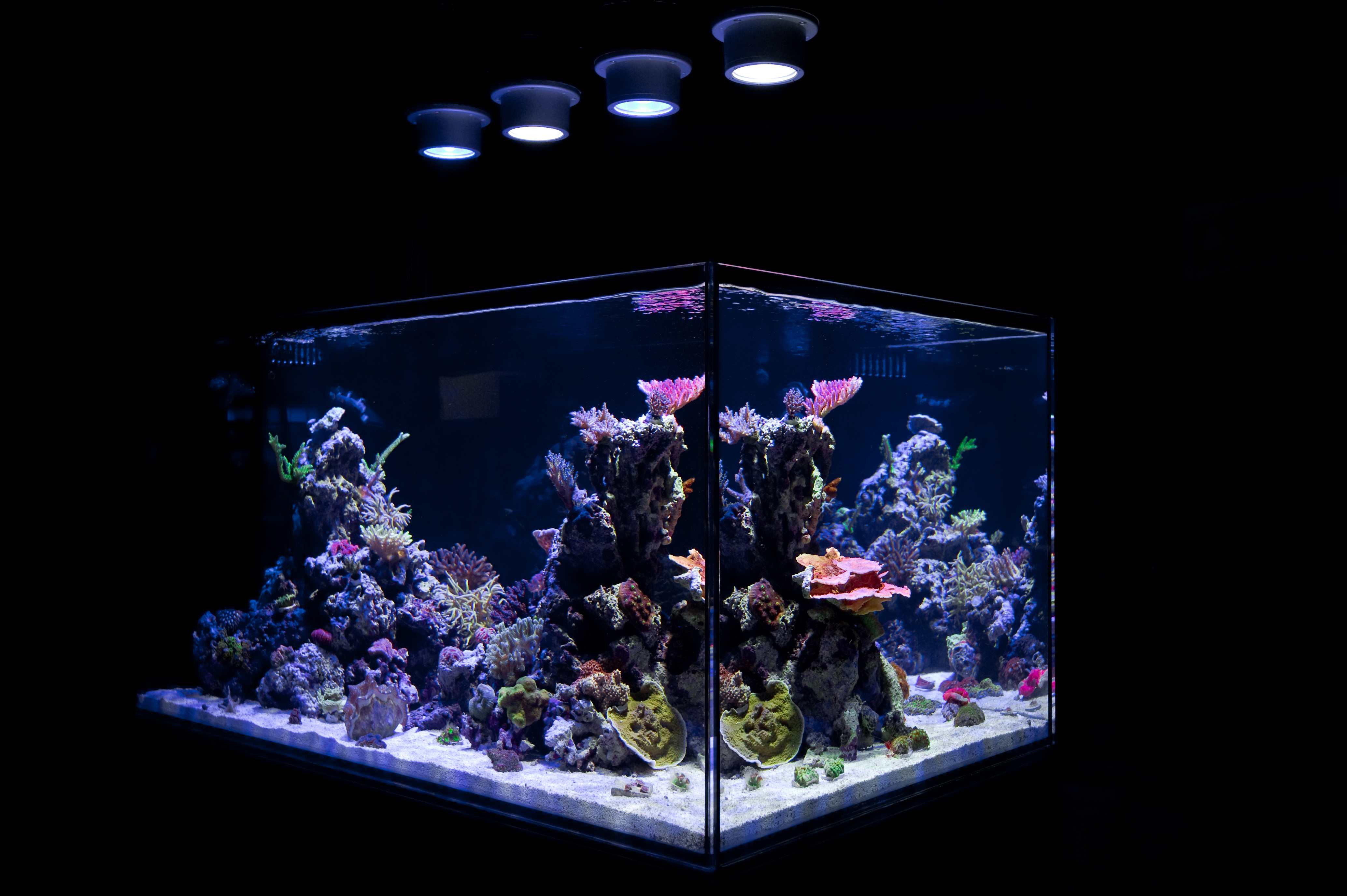 10 правил света для аквариума
