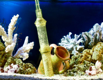 Как чистить аквариум сифоном