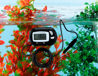 Какой выбрать термометр для аквариума?