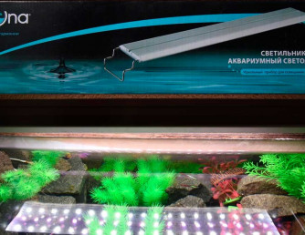 Светодиодные (led) лампы и светильники для аквариума: как выбрать?