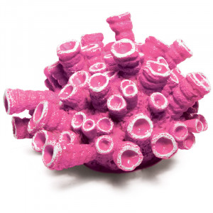 Коралл искусственный "Эусмилия" розовая 95*95*55мм"