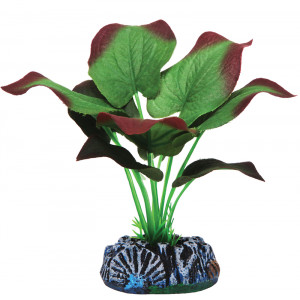 Растение шелковое "Эхинодорус", зелено-бордовое, 200мм