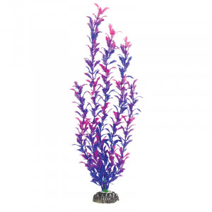 Растение "Людвигия фиолетовая", 100мм"