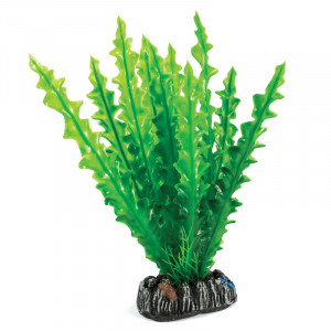 Растение "Апоногетон", зеленое, 200мм