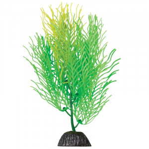 Растение силиконовое "Эустералис стеллата", зелено-желтое, 200мм
