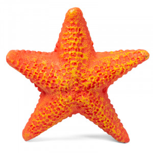 Коралл искусственный "Звезда морская", S, 85*85*23мм
