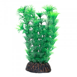 Растение "Амбулия", зеленое, 200мм