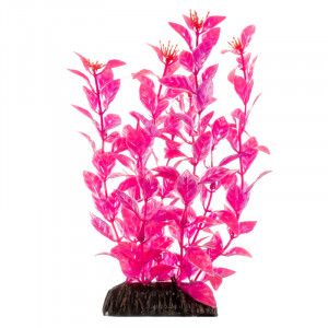 Растение "Людвигия", ярко-розовое, 300мм